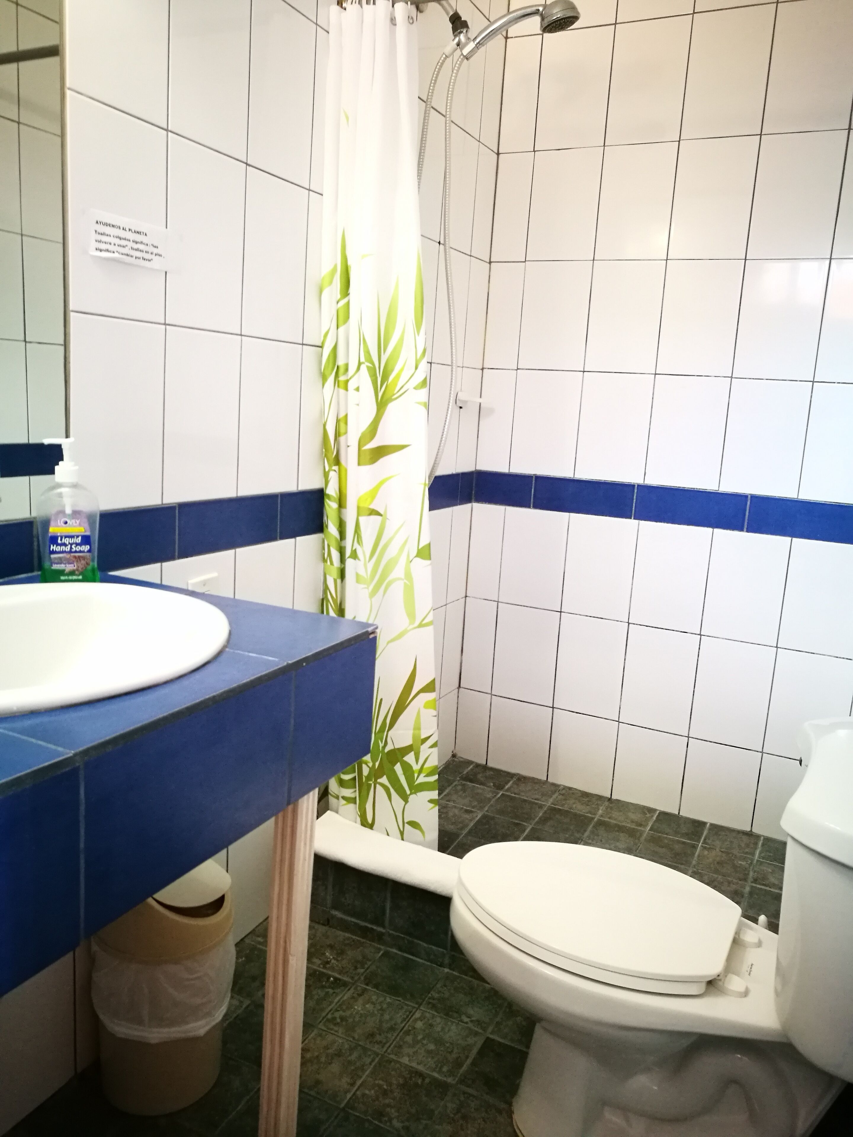 junior suite, 1 queen bed | bathroom | shower, free toiletries, towels