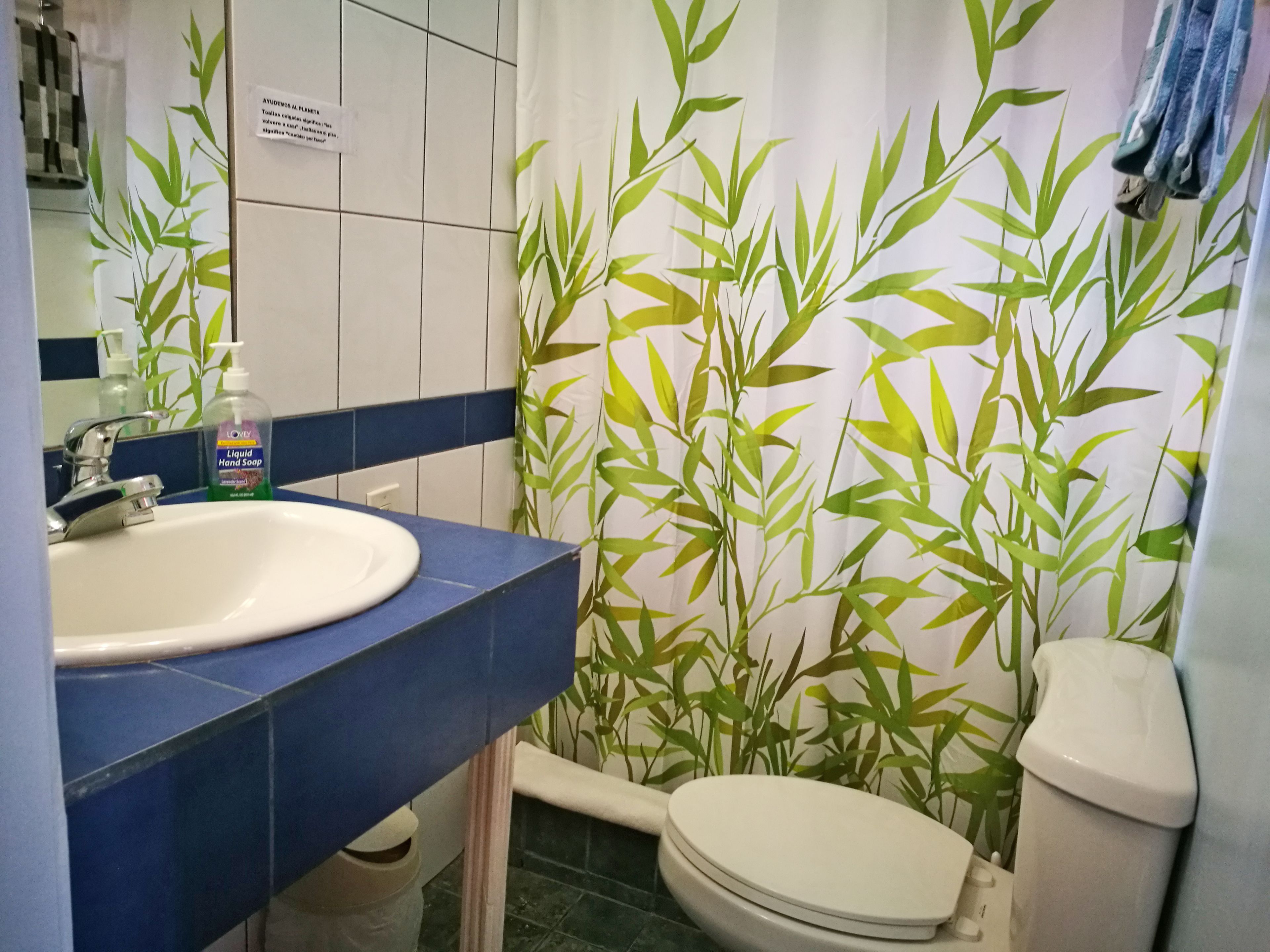 classic suite, 1 queen bed | bathroom | shower, free toiletries, towels