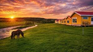 A row of yellow buildings with red roofs, a grassy field, and a horse grazing near a river. - Hotel Lækur (Rangárþing ytra)