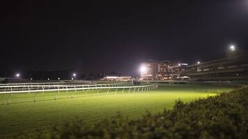 Un stade bien éclairé, doté d’un terrain verdoyant et de zones réservées aux spectateurs.