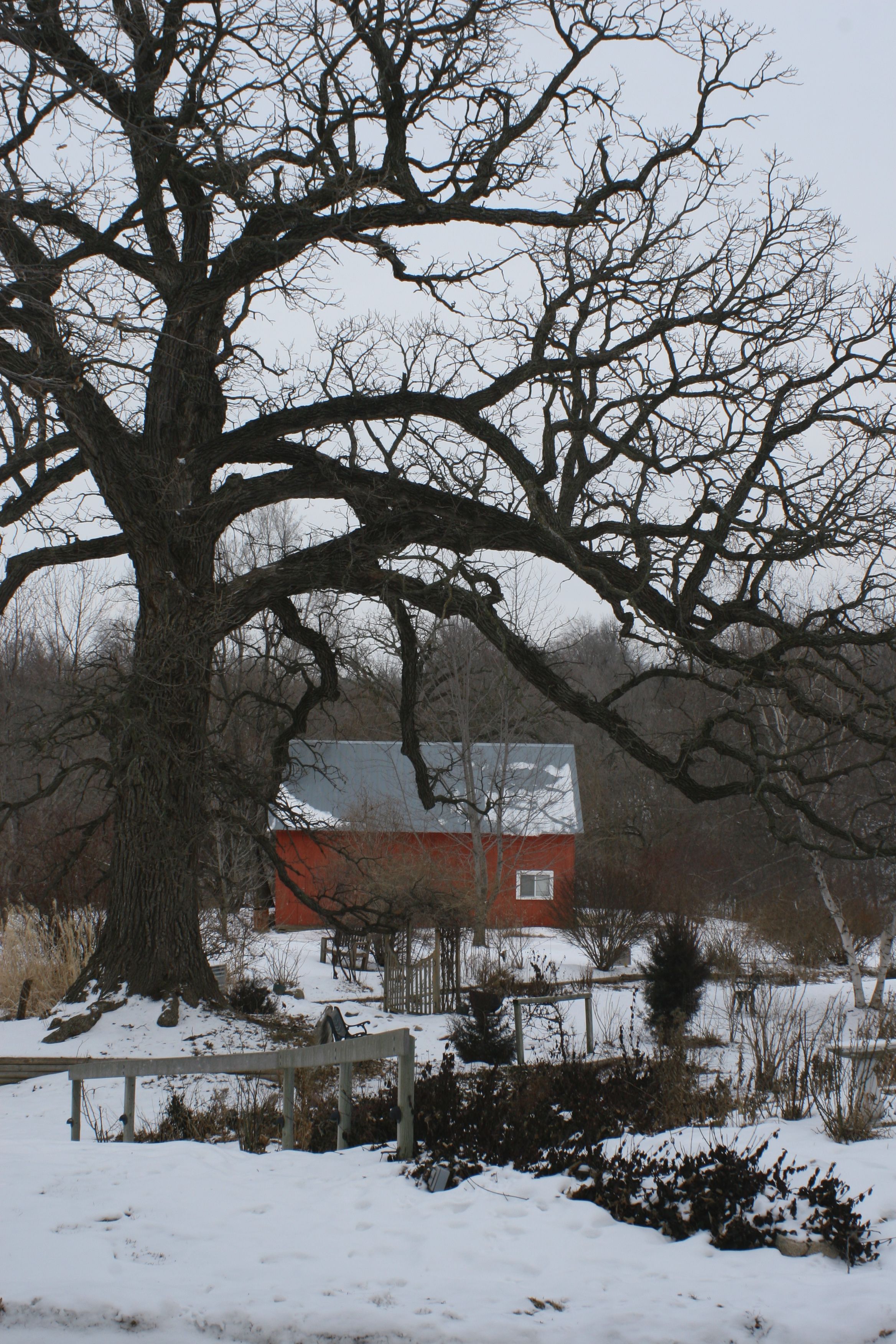 Land view from property