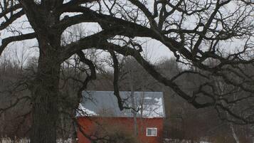 Land view from property