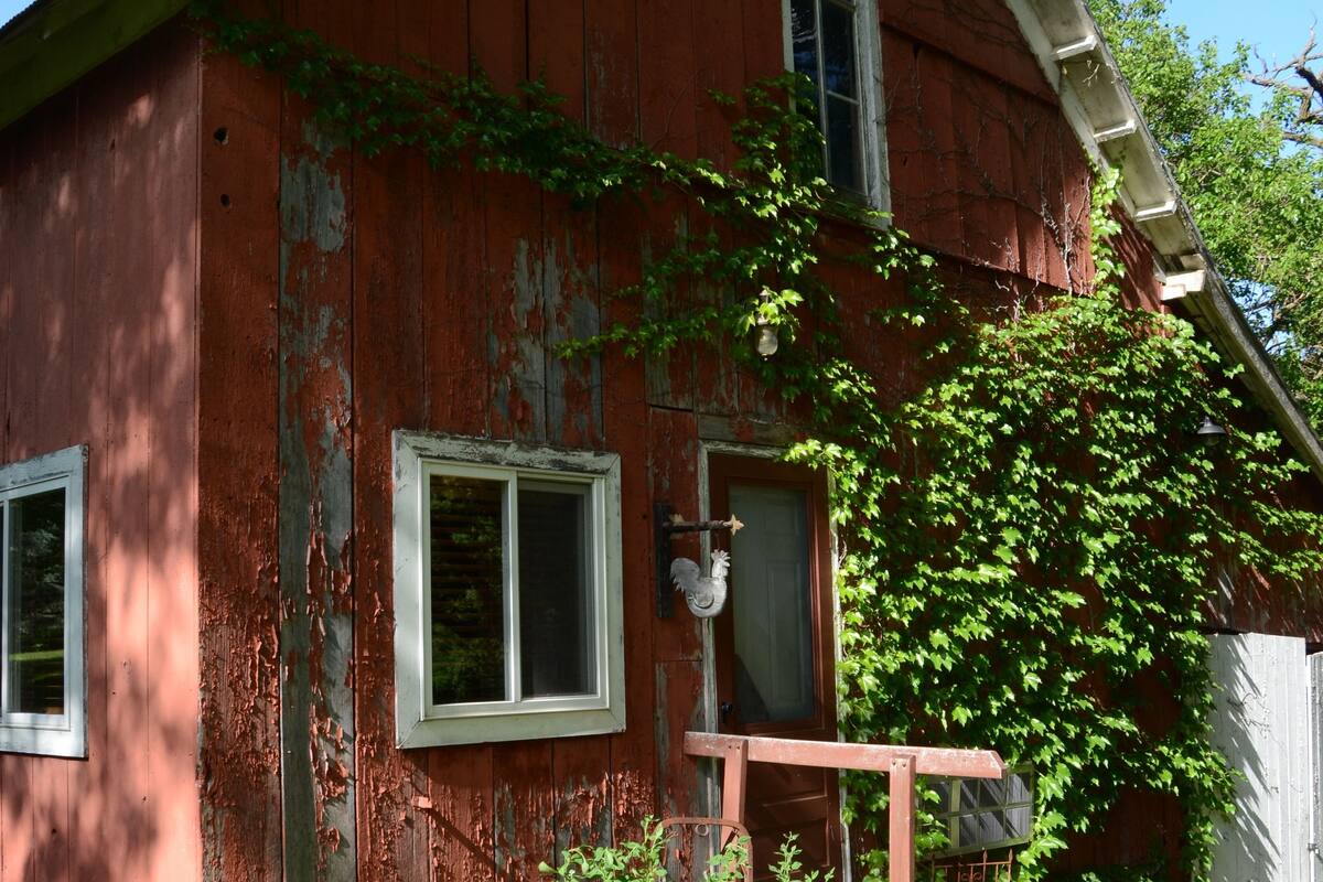 Room, Private Bathroom (Roost in the Barn) | Premium bedding, iron/ironing board (on request), WiFi (free)