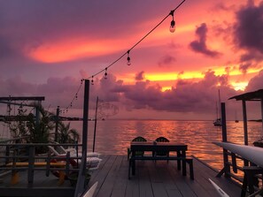 テラス / パティオ