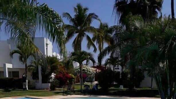 A clear blue swimming pool surrounded by palm trees and a white building. - Casa Elena (Mazatlán)