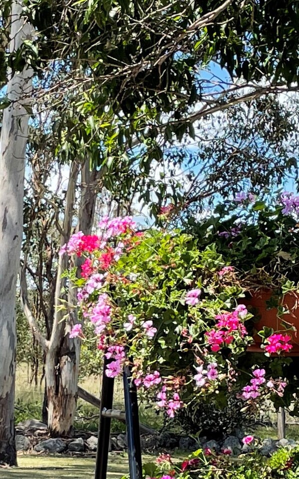 المنطقة المحيطة بالمنشأة