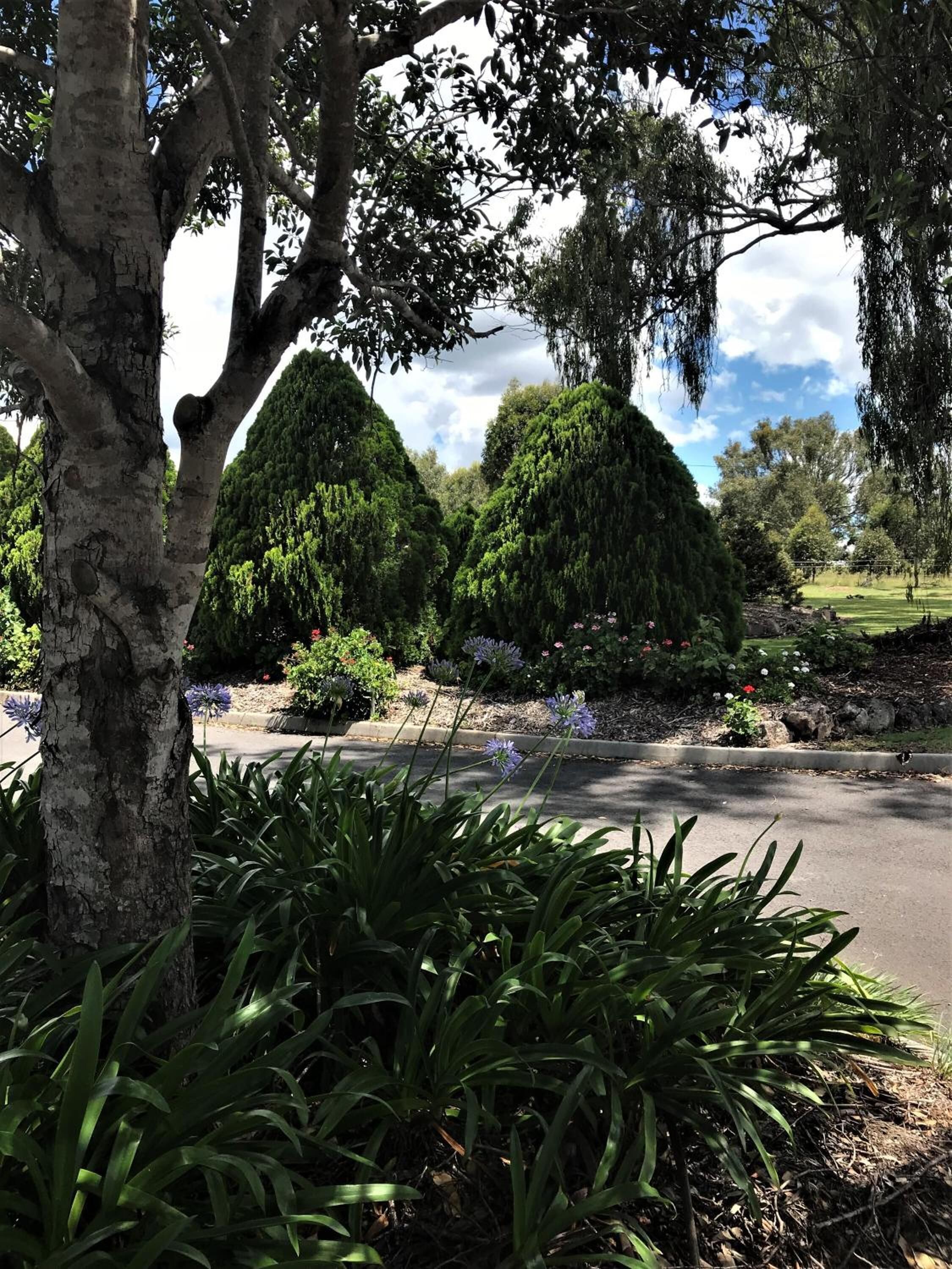 A landscaped garden with neatly trimmed trees and flowering plants.