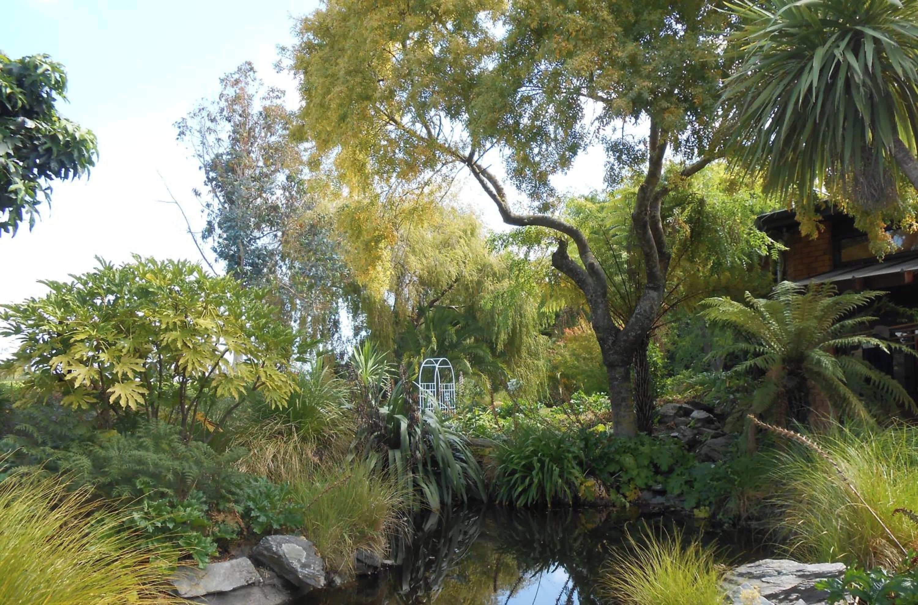 Ein Garten mit verschiedenen Bäumen, einem kleinen Teich und einer Metallkonstruktion.