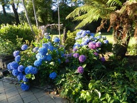 Jardines del alojamiento