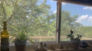 A window sill with a wine bottle, a potted plant, and various decorative items. - The Blanco River is calling your name!! Come and enjoy!! (Wimberley)