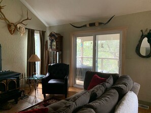 Smart TV, DVD player, books, video library