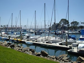 A marina with numerous boats docked, a grassy area in the foreground, and a building in the background.
