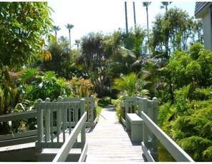 A wooden pathway leading through a lush garden with various tropical plants and palm trees.