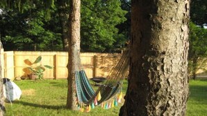 Una hamaca atada entre dos árboles en un patio trasero con cerca de madera y follaje al fondo.