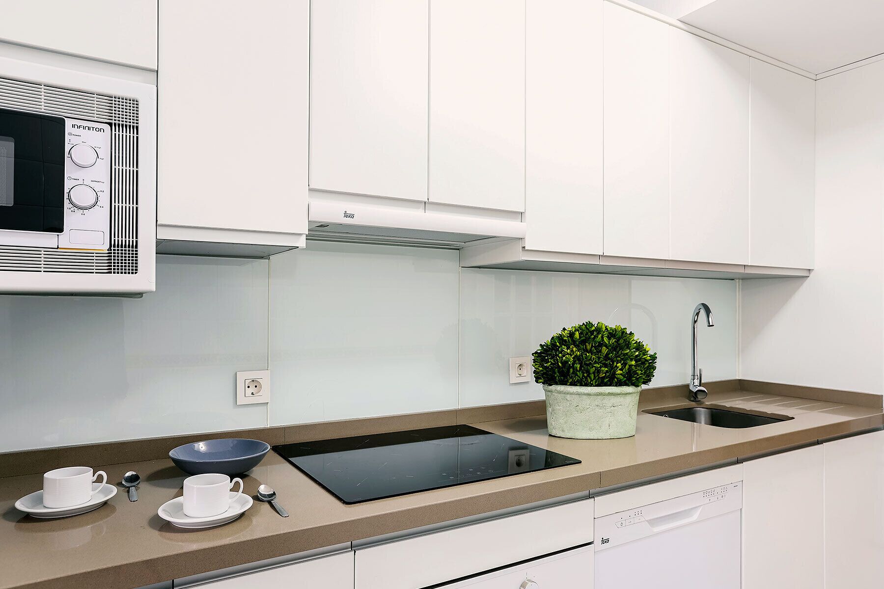 A modern kitchen with white cabinets, a black induction cooktop, a sink, and a potted plant.