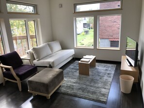 Flat-screen TV, Netflix