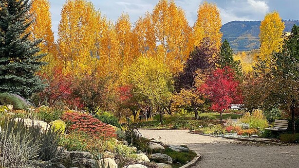 A park with autumn trees, a gravel path, and a bench.