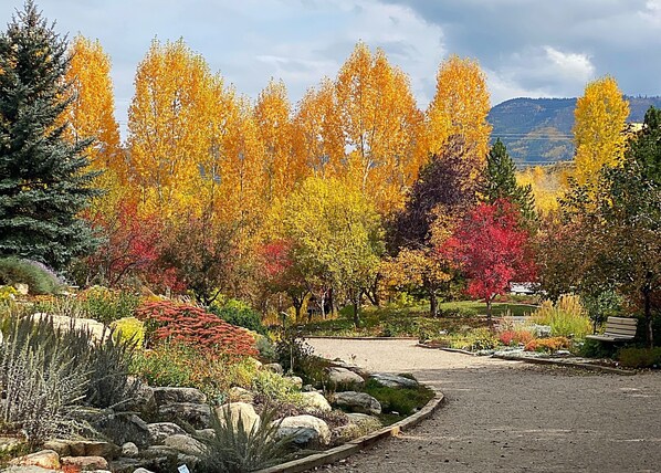 Property grounds - Stay just steps from the Gondola. A few remaining nights in Dec and Jan reduced! (Steamboat Springs)