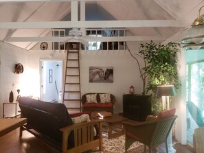 Fernseher, Kamin, DVD-Player, Bücher