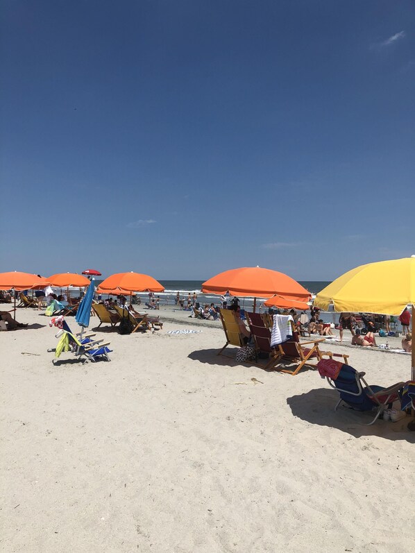 Playa en los alrededores, camastros y toallas de playa 