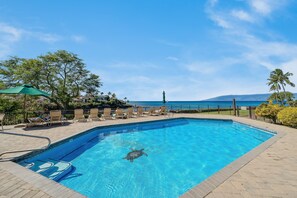 A swimming pool with a sea turtle, lounge chairs, and a view of the ocean. - OceanFront Condo w Ocean Views AC Pool - Napili Point B5 (Lahaina)