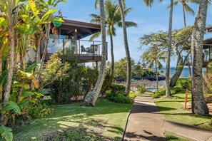 Property grounds - Napili Point B5 OceanFront Condo w Ocean Views AC Pool (Lahaina)
