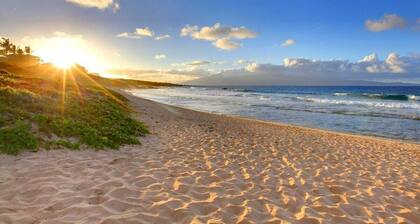 KR N102 Kaunis merinäköala, kävele Kaanapalin rannalle ja valaiden kylään