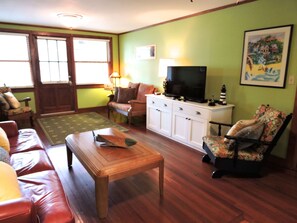 Älytelevisio, DVD-soitin, kirjoja, videokirjasto