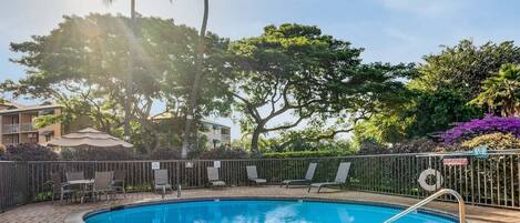 Une piscine dotée de chaises longues et entourée d’une clôture, le tout bordé d’arbres et adossé à un bâtiment.