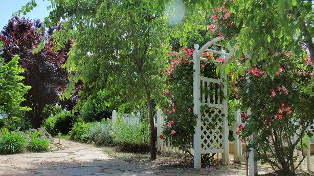 Unclassified image, 1 of 21, button - Pinot Noir Cottage (Lodi)