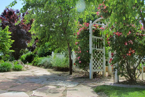 Property grounds - Pinot Noir Cottage (Lodi)