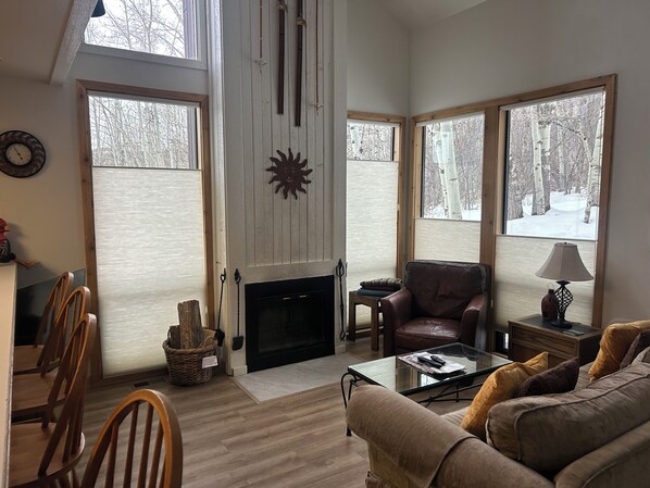 TV connectée, cheminée, baby-foot, table de tennis de table