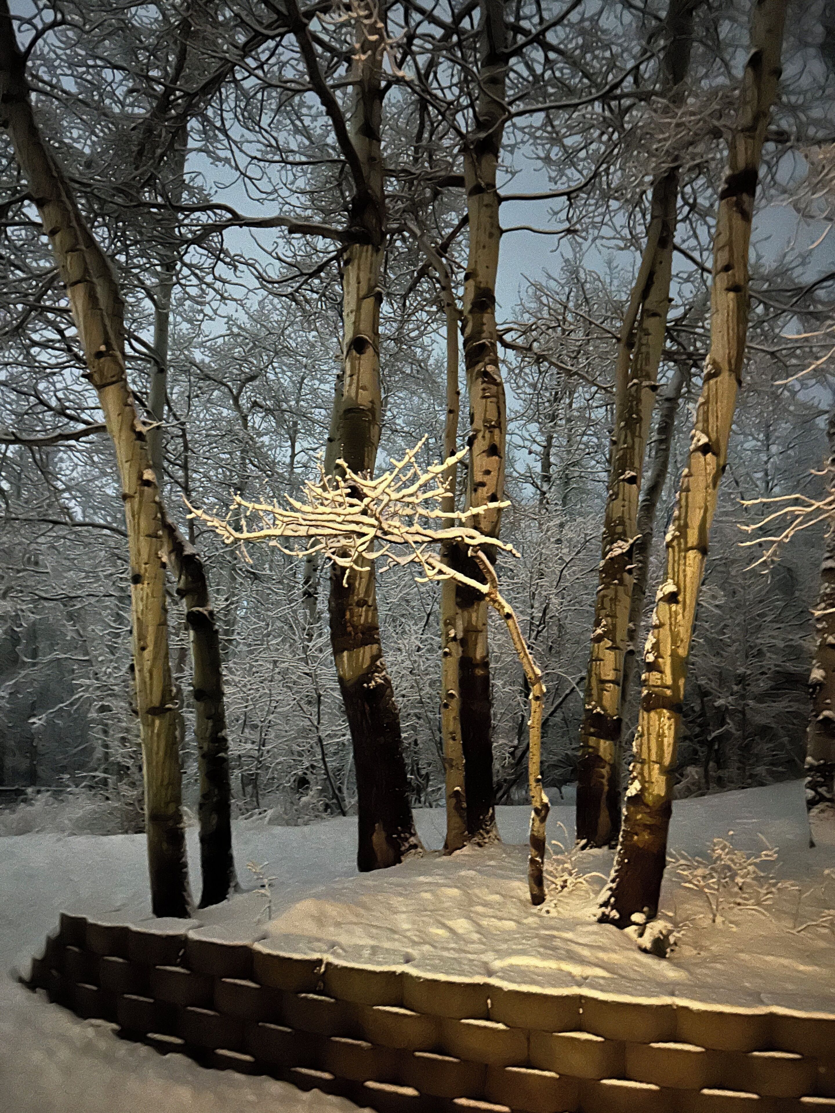 Cena de uma floresta nevada com bétulas e uma construção de tijolos.