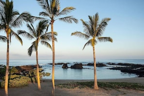 A beach with palm trees and rocky outcrops in the water.