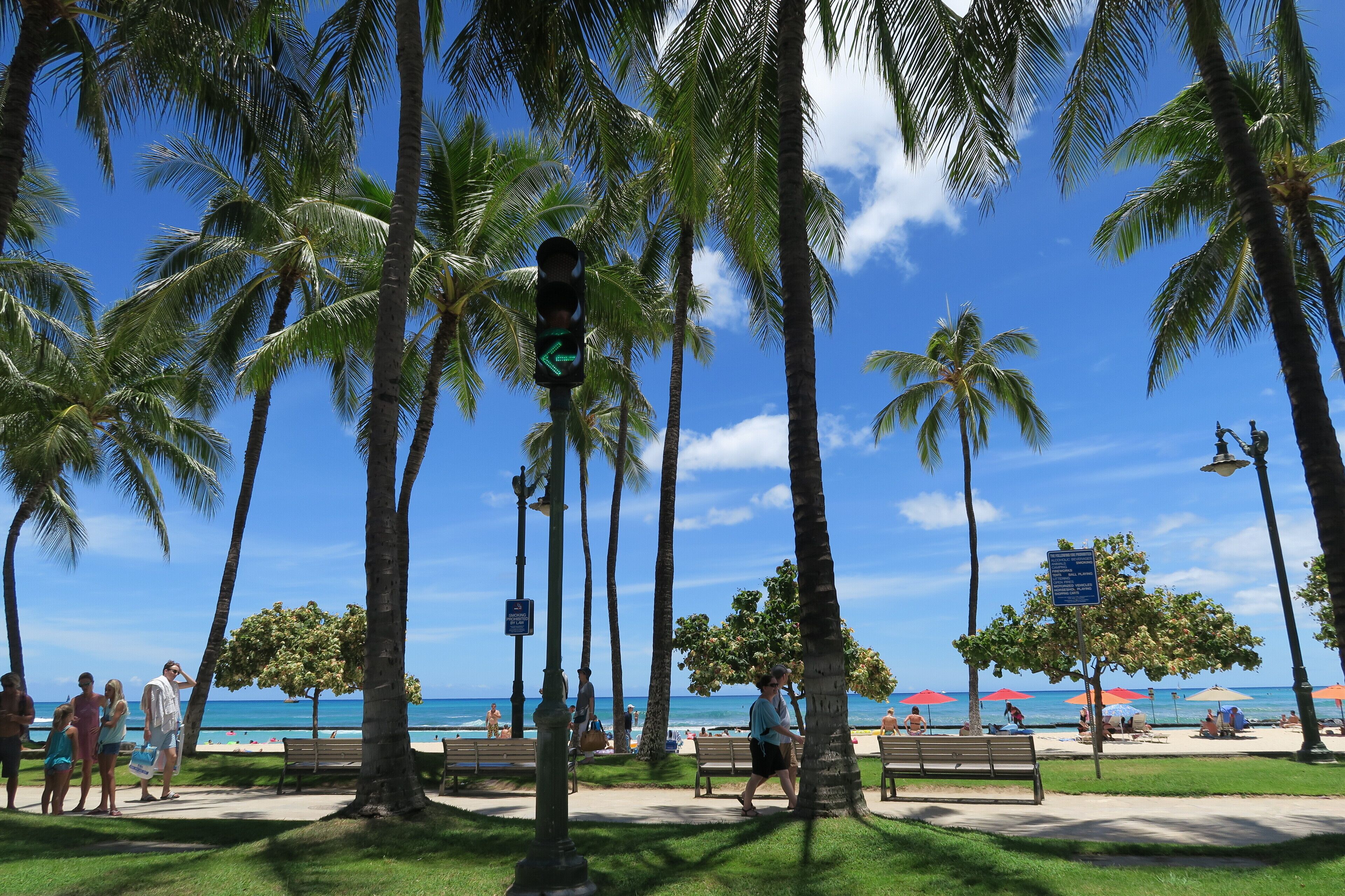 A beach scene with palm trees, a clear sky, and a visible traffic light.