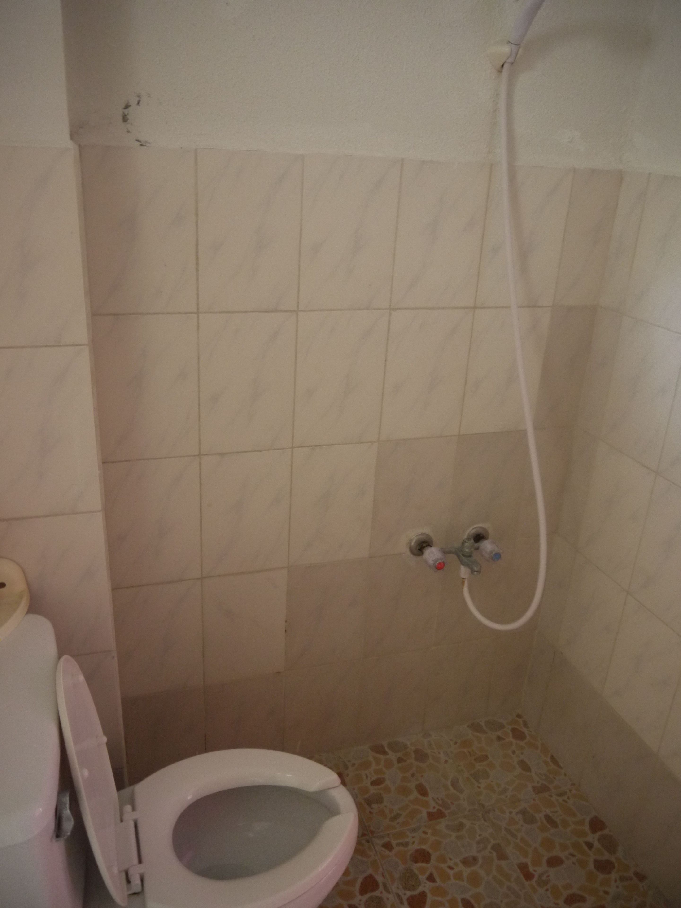 Un baño con inodoro, ducha y paredes de azulejos.