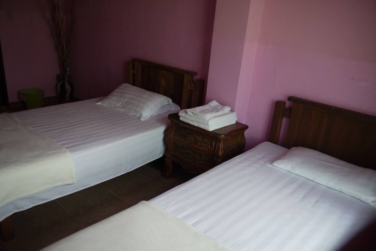 Two single beds with wooden headboards in a room with pink walls.