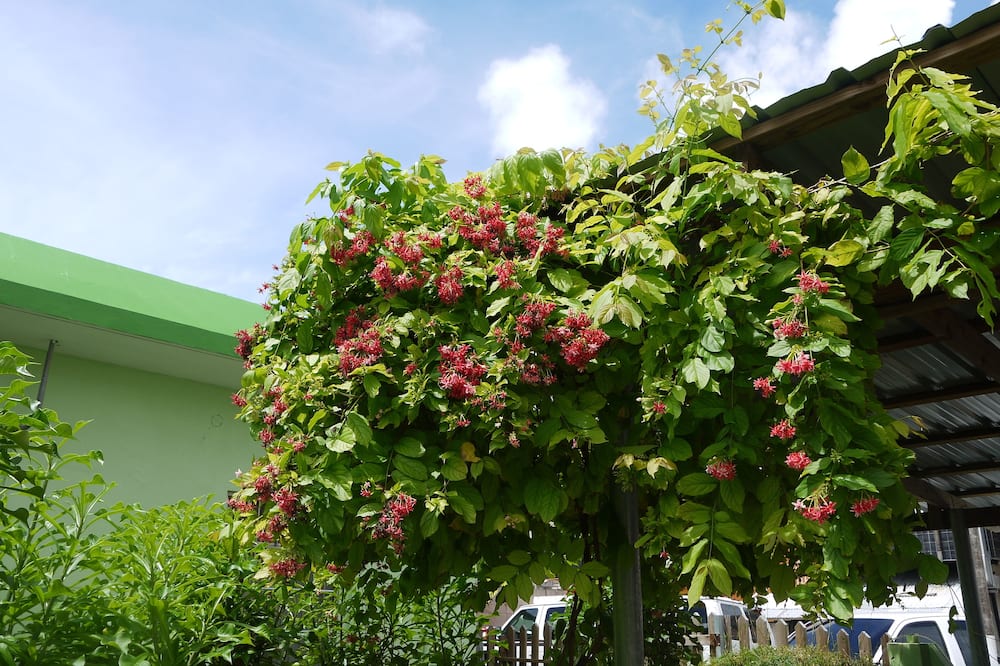 G.T. Guest House