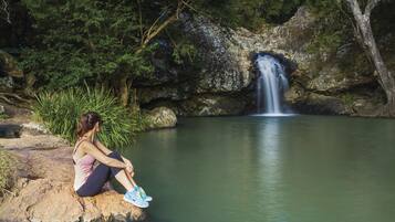 A woman sitting on a rock by a calm waterfall in a forested area.