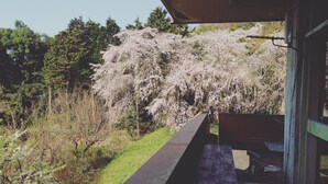 A balcony with a view of cherry blossoms and a wooden table. - Amanohashidate Youth Hostel (Miyazu)