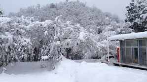A snow-covered landscape with trees and a building with large windows. - Amanohashidate Youth Hostel (Miyazu)