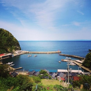 A coastal town with a marina, boats, and houses. - Amanohashidate Youth Hostel (Miyazu)