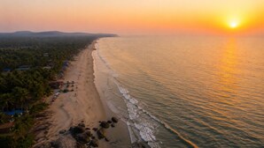 Una playa con un atardecer, una orilla arenosa y palmeras.