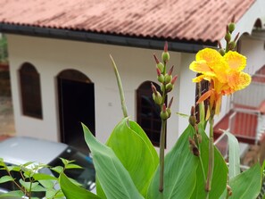 A building with a tiled roof and arched windows. - Lodge in 611 (Kandy)