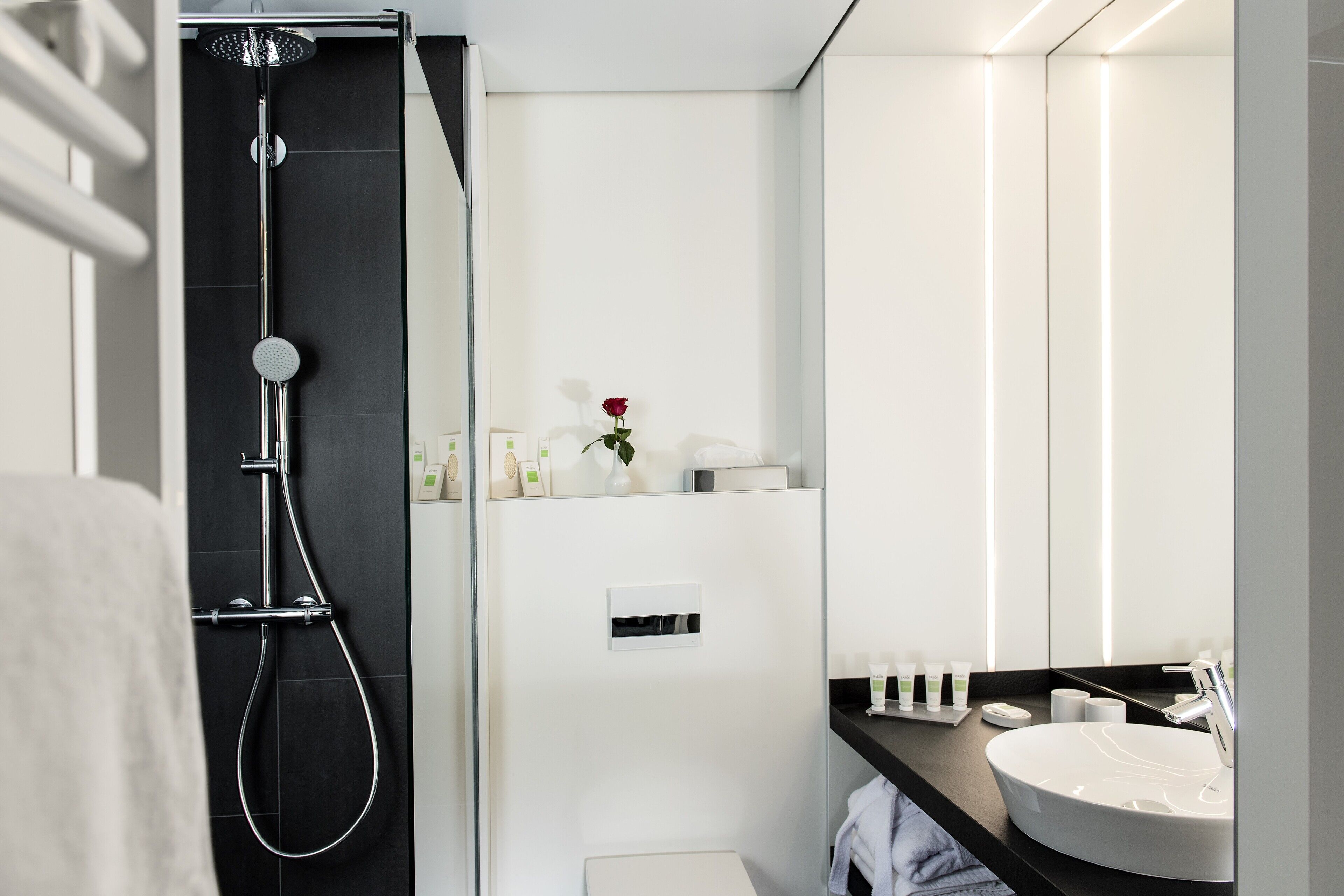 shower, rainfall showerhead, free toiletries, hair dryer