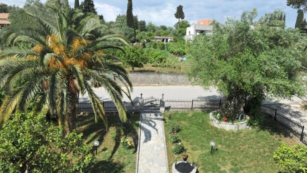 A garden with a palm tree, a stone pathway, and a circular flower bed. - Anna Apartments (Corfu)