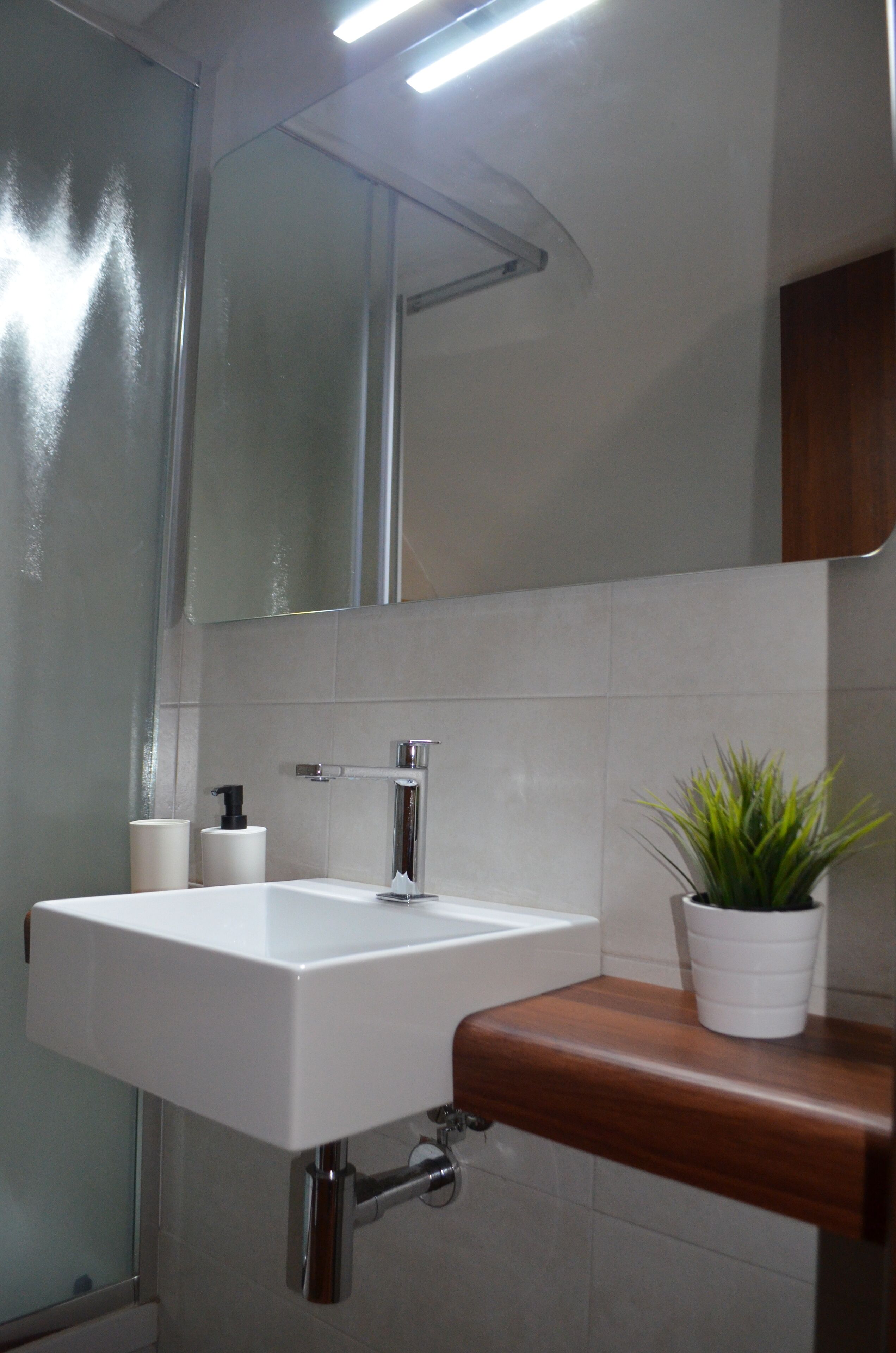 A bathroom with a white sink, a mirror, a potted plant, and a wooden shelf.