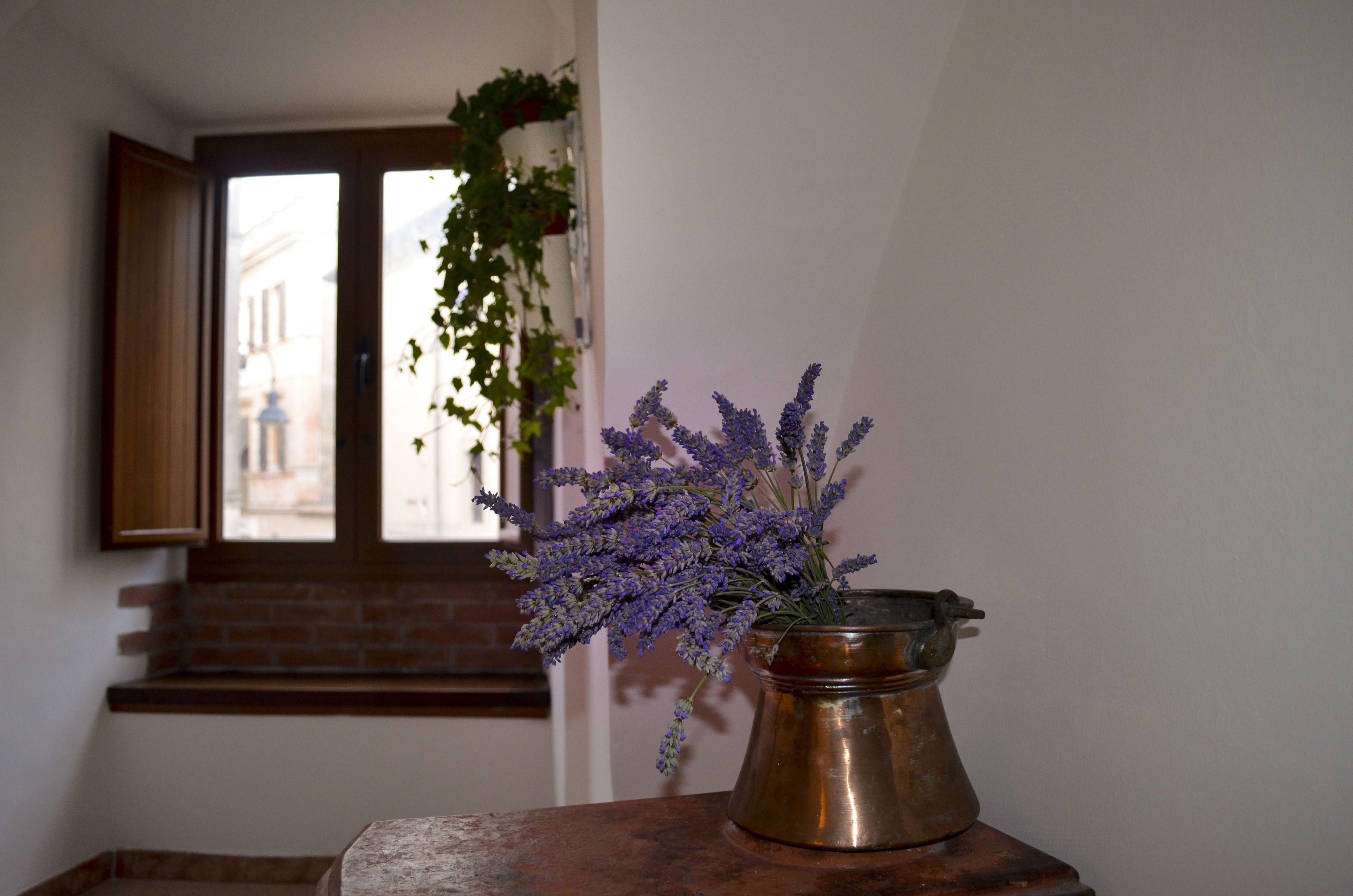 A room with a window, a vase with lavender, and a hanging plant.