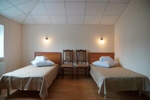 Habitación estándar con 2 camas individuales | Escritorio, sistema de insonorización, tabla de planchar con plancha