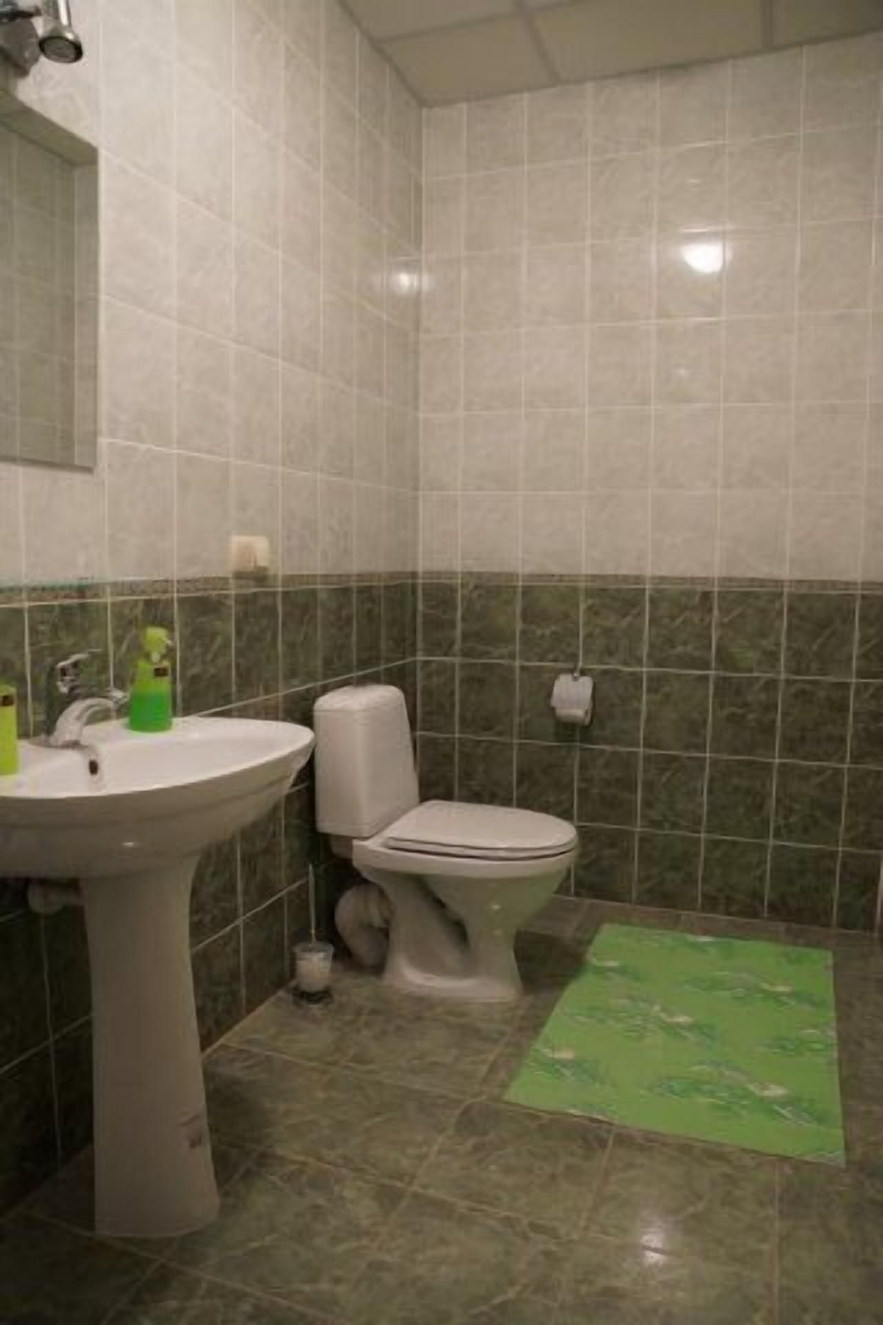 Une salle de bain avec un lavabo, des toilettes et un tapis vert sur le sol.